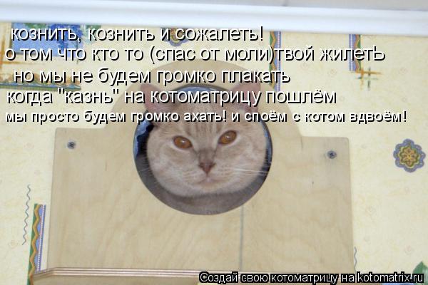 Котоматрица: кознить, кознить и сожалеть! о том что кто то (спас от моли)твой жилетЬ но мы не будем громко плакать когда "казнь" на котоматрицу пошлём мы пр