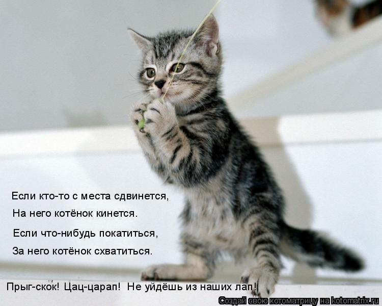 Котоматрица: Если кто-то с места сдвинется, На него котёнок кинется. Если что-нибудь покатиться, За него котёнок схватиться. Прыг-скок! Цац-царап!  Не уйдё