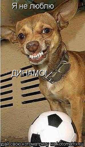 Котоматрица: Я не люблю ДИНАМО!