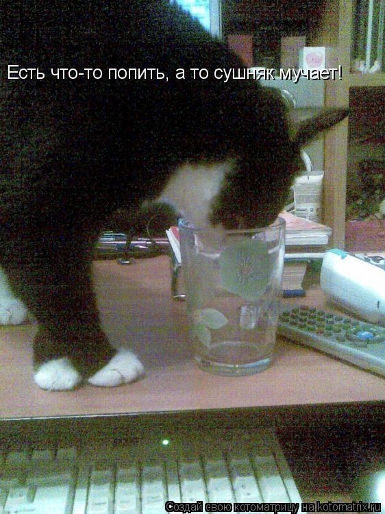Котоматрица: Есть что-то попить, а то сушняк мучает!