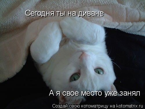 Котоматрица: Сегодня ты на диване А я свое место уже занял