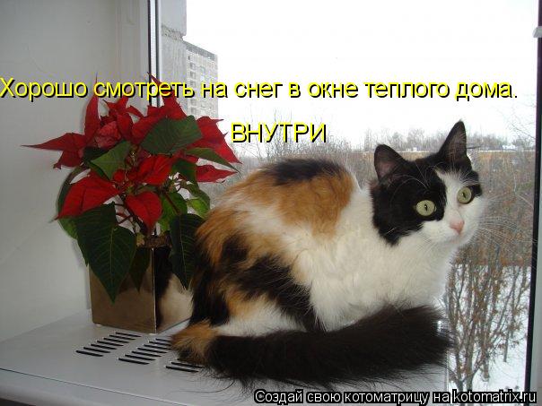 Котоматрица: Хорошо смотреть на снег в окне теплого дома.  ВНУТРИ