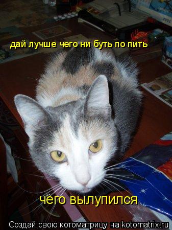 Котоматрица: чего вылупился  дай лучше чего ни буть по пить