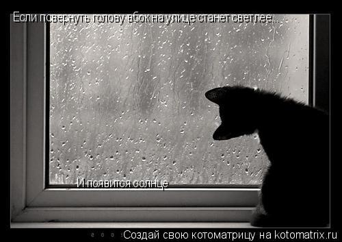 Котоматрица: Если повернуть голову вбок на улице станет светлее... И появится солнце