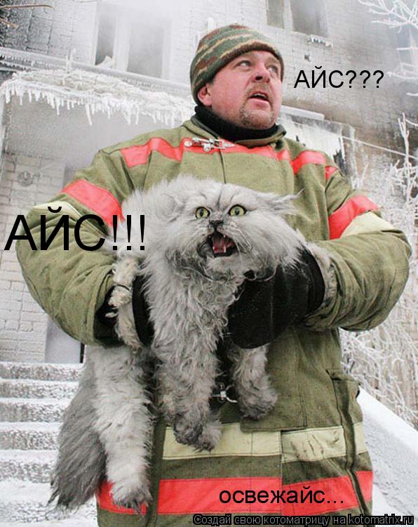 Котоматрица: АЙС??? АЙС!!! освежайс...