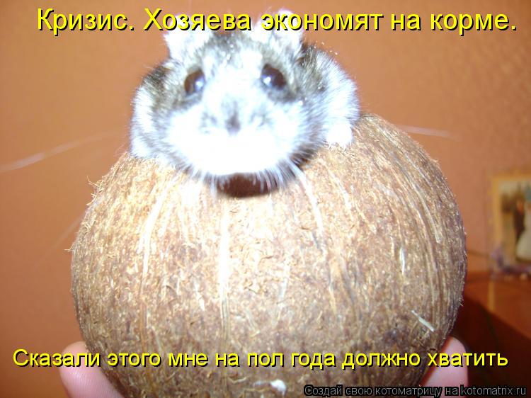 Котоматрица: Кризис. Хозяева экономят на корме. Сказали этого мне на пол года должно хватить