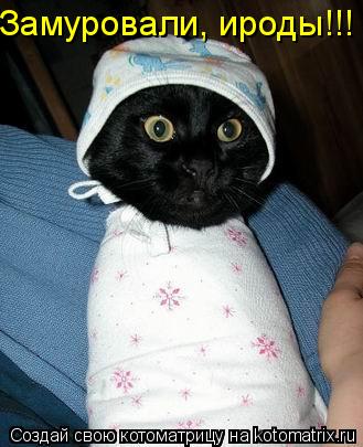 Котоматрица: Замуровали, ироды!!!