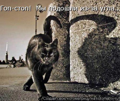 Гоп-стоп! Мы подошли из-за угла........ Котоматрица: Гоп-стоп! Мы подошли из-за угла.....