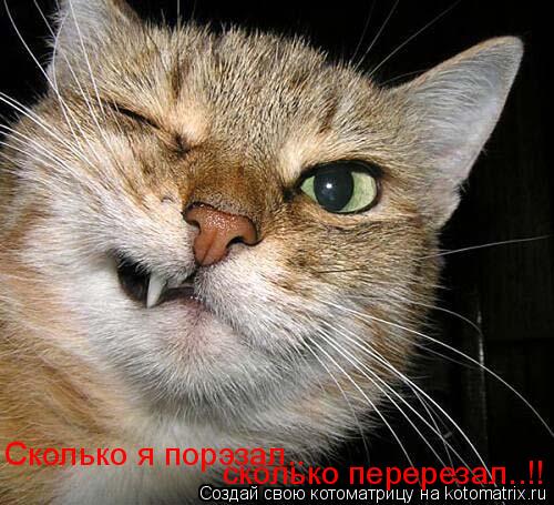 Сколько я порэзал.. сколько перерезал..!!... Котоматрица: Сколько я порэзал.. сколько перерезал..!!