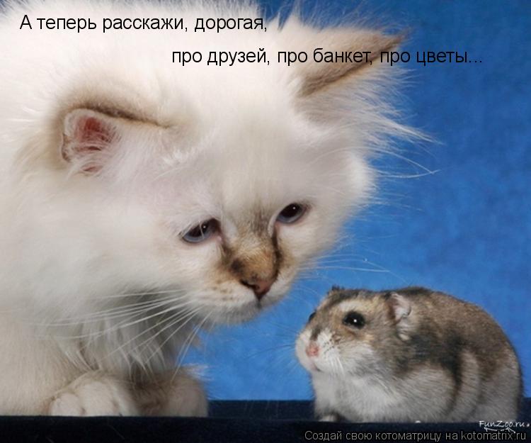 Котоматрица: А теперь расскажи, дорогая,  про друзей, про банкет, про цветы...
