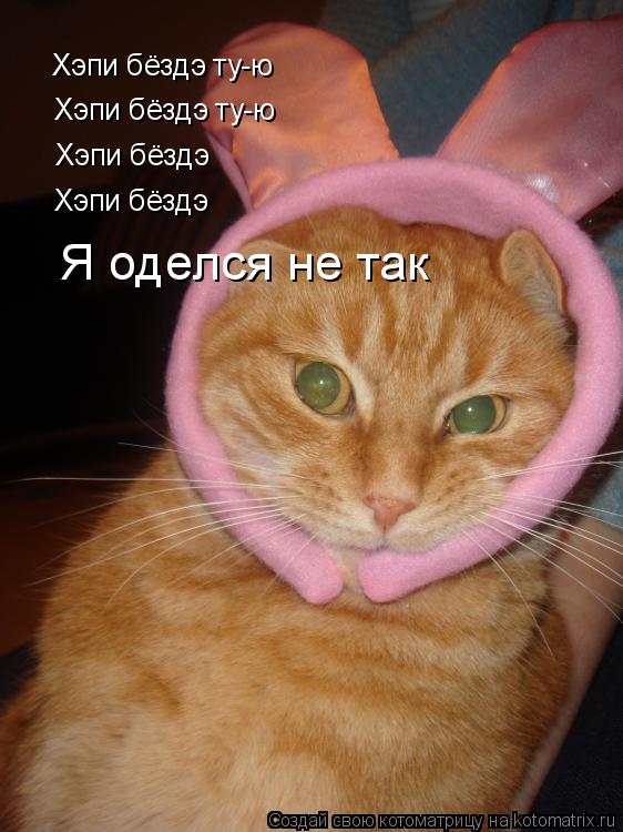 Котоматрица: Хэпи бёздэ ту-ю  Хэпи бёздэ ту-ю  Хэпи бёздэ Хэпи бёздэ Я оделся не так