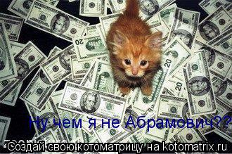 Ну чем я не Абрамович???... Котоматрица: Ну чем я не Абрамович???