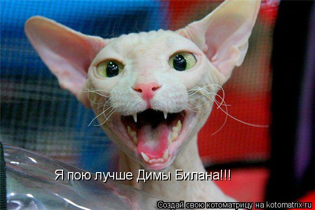 Котоматрица: Я пою лучше Димы Билана!!! Я пою лучше Димы Билана!!!