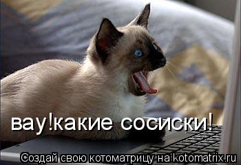 Котоматрица: вау!какие сосиски!