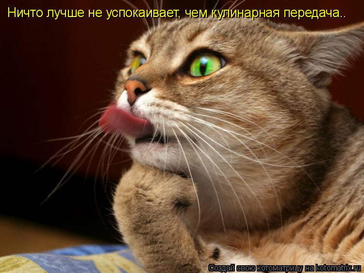 Котоматрица: Ничто лучше не успокаивает, чем кулинарная передача..