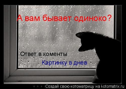 Котоматрица: А вам бывает одиноко? Ответ в коменты Картинку в днев