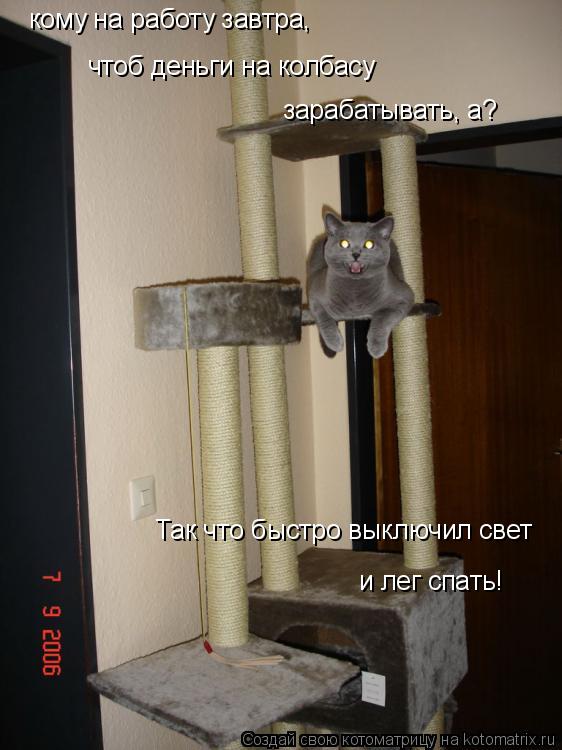 Котоматрица: кому на работу завтра,  чтоб деньги на колбасу  зарабатывать, а?  Так что быстро выключил свет  и лег спать!