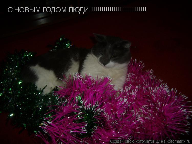 Котоматрица: С НОВЫМ ГОДОМ ЛЮДИ!!!!!!!!!!!!!!!!!!!!!!!!!!!!