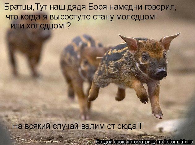 Братцы,Тут наш дядя Боря,намедни говорил, что когда я выросту,то стану молодцом! или холодцом!? На вс... Котоматрица: Братцы,Тут наш дядя Боря,намедни говорил, что когда я выросту,то стану молодцом! или холодцом!? На всякий случай валим от сюда!!!