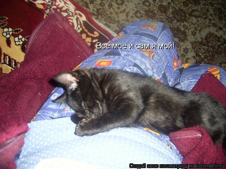 Котоматрица: Все мое и сам я мой!