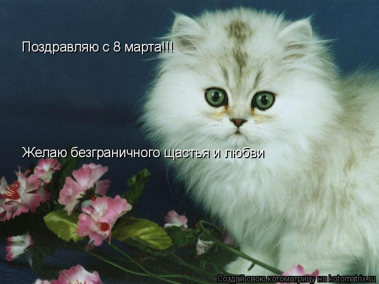 Поздравляю с 8 марта!!! Желаю безграничного щастья и любви... Котоматрица: Поздравляю с 8 марта!!! Желаю безграничного щастья и любви