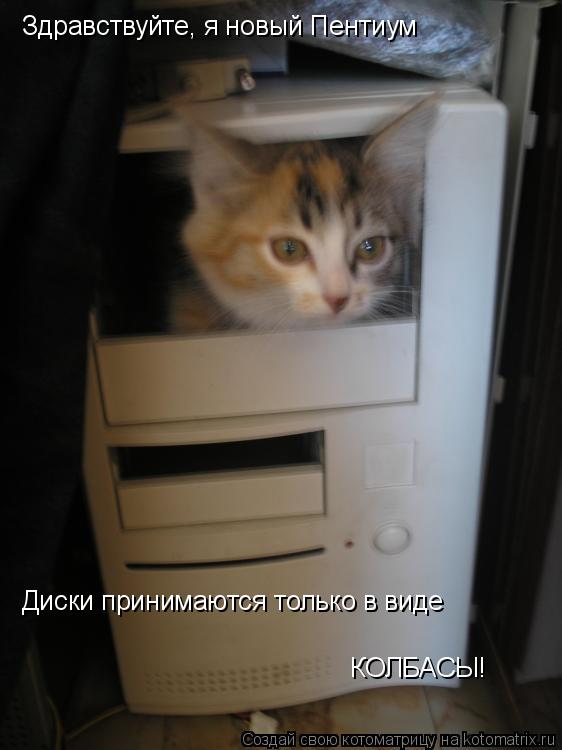 Котоматрица: Здравствуйте, я новый Пентиум Диски принимаются только в виде  КОЛБАСЫ!