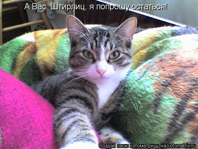 Котоматрица: А Вас, Штирлиц, я попрошу остаться!