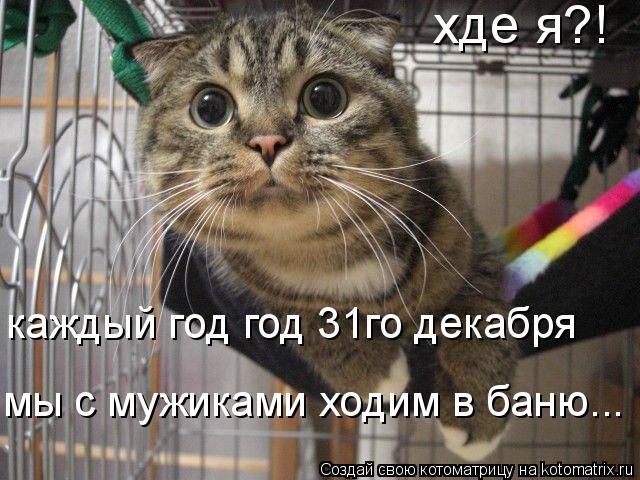 хде я?! каждый год год 31го декабря мы с мужиками ходим в баню...... Котоматрица: хде я?! каждый год год 31го декабря мы с мужиками ходим в баню...