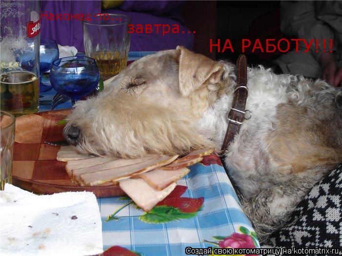 Котоматрица: Наконец-то... завтра... НА РАБОТУ!!!