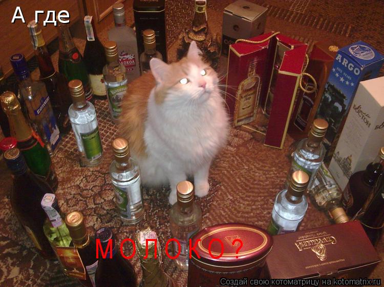 Котоматрица: А где  М О Л О К О ?
