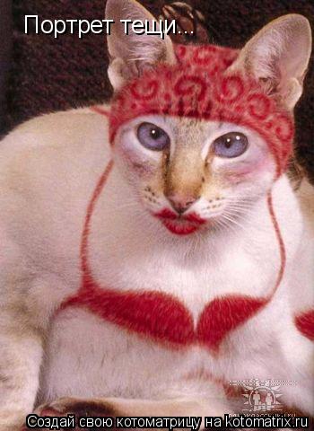 Котоматрица: Портрет тещи...
