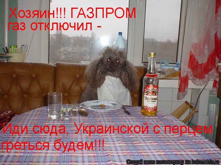 Котоматрица: Хозяин!!! ГАЗПРОМ  газ отключил -  Иди сюда, Украинской с перцем греться будем!!!