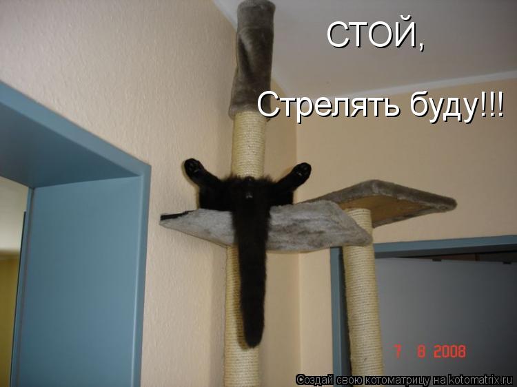 Котоматрица: СТОЙ,  Стрелять буду!!!