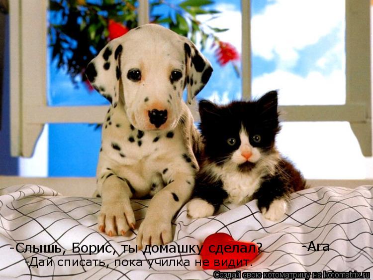 -Слышь, Борис, ты домашку сделал? -Дай списать, пока училка не видит. -Ага... Котоматрица: -Слышь, Борис, ты домашку сделал? -Дай списать, пока училка не видит. -Ага