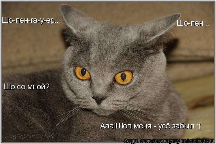 Котоматрица: Шо-пен-га-у-ер... Шо-пен... Шо со мной? Ааа!Шоп меня - усё забыл :(