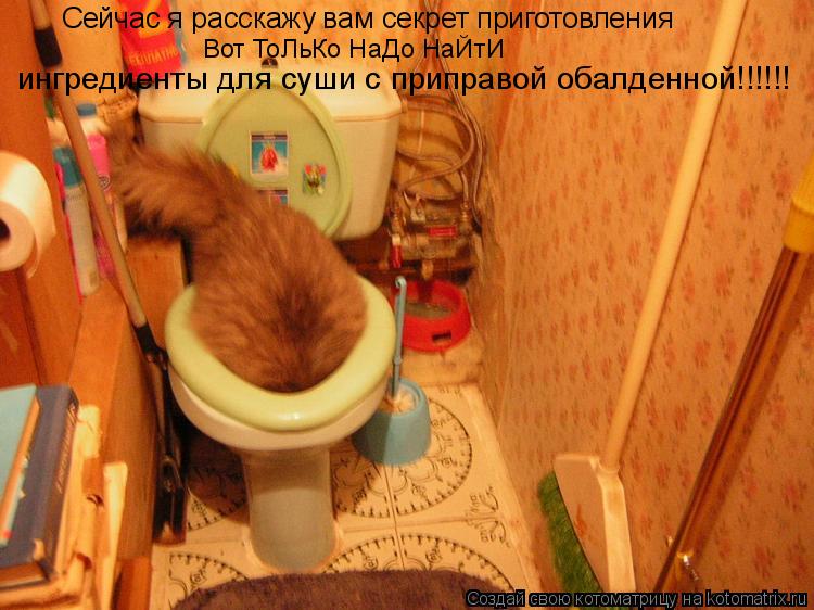 Котоматрица: Сейчас я расскажу вам секрет приготовления ингредиенты для суши с приправой обалденной!!!!!! Вот ТоЛьКо НаДо НаЙтИ