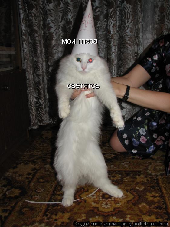 Котоматрица: мои глаза  светятсь
