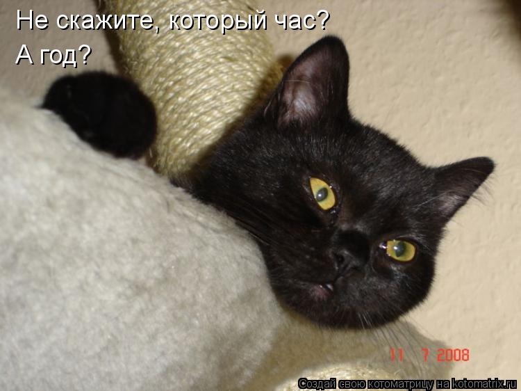 Котоматрица: Не скажите, который час? А год?