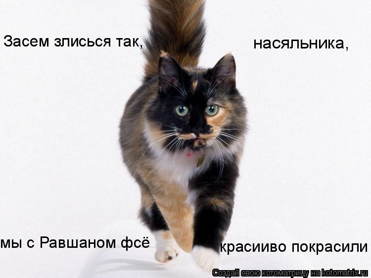 Котоматрица: Засем злисься так, насяльника, мы с Равшаном фсё красииво покрасили
