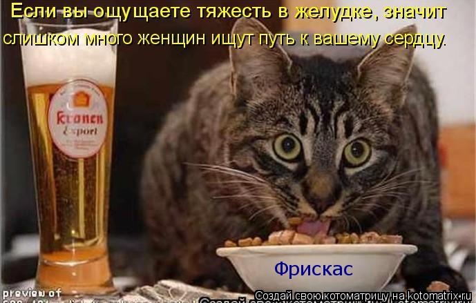 Котоматрица: Фрискас