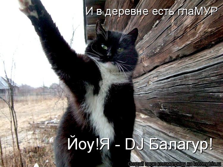 Котоматрица: И в деревне есть глаМУР Йоу!Я - DJ Балагур!