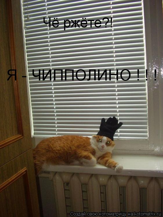 Котоматрица: Чё ржёте?! Я - ЧИППОЛИНО ! ! !