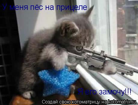 Котоматрица: У меня пёс на прицеле Я его замочу!!!