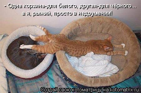 Котоматрица: - Одна корзина-для белого, другая-для чёрного... а я, рыжий, просто в недоумении!