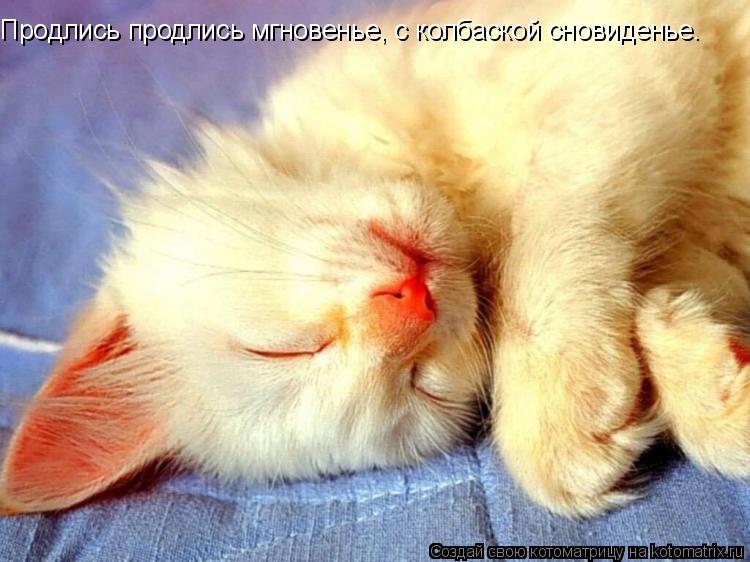 Котоматрица: Продлись продлись мгновенье, с колбаской сновиденье.