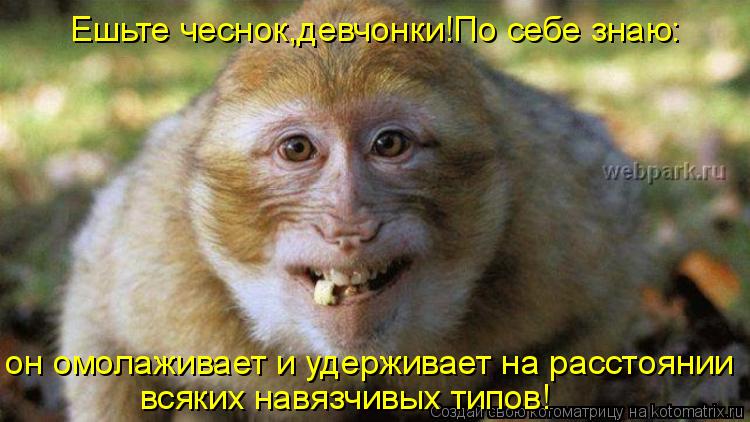 Котоматрица: Ешьте чеснок,девчонки!По себе знаю: всяких навязчивых типов! он омолаживает и удерживает на расстоянии
