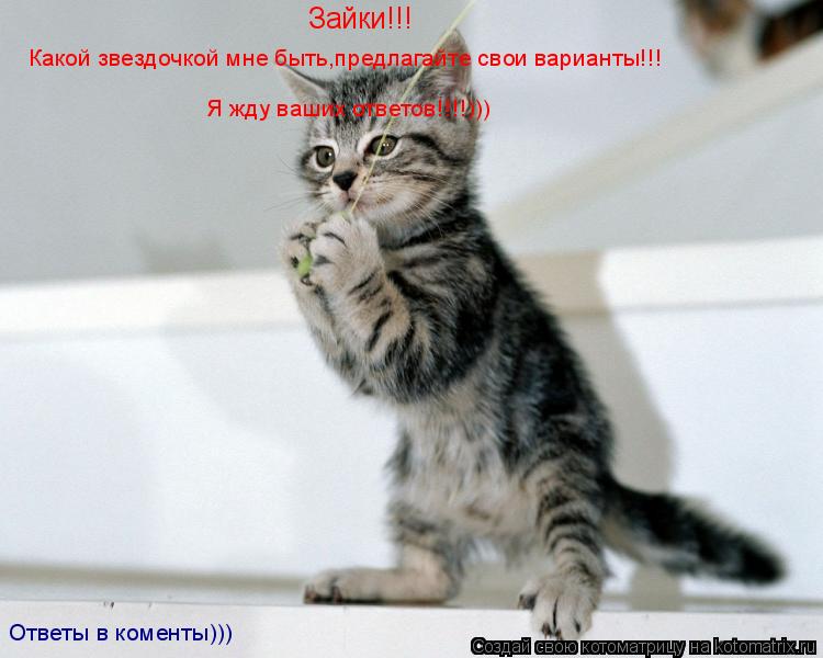 Котоматрица: Зайки!!! Какой звездочкой мне быть,предлагайте свои варианты!!! Я жду ваших ответов!!!!))) Ответы в коменты)))