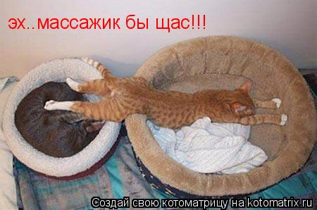 Котоматрица: эх..массажик бы щас!!!