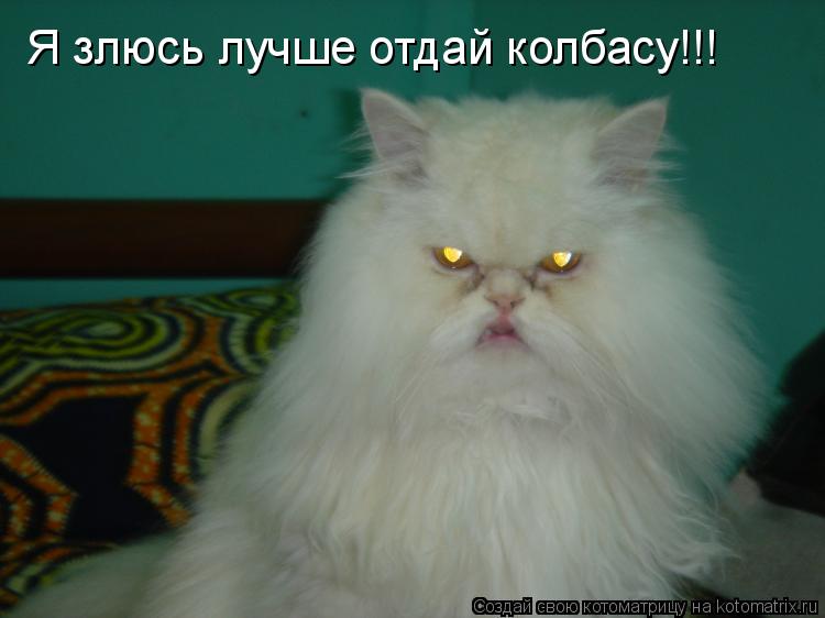 Котоматрица: Я злюсь лучше отдай колбасу!!!
