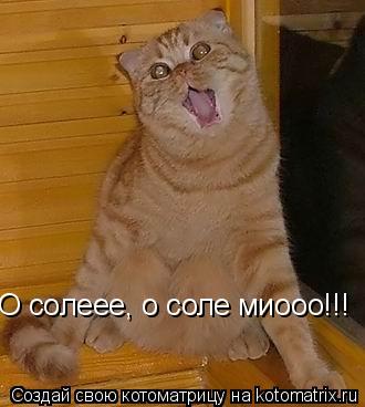 Котоматрица: О солеее, о соле миооо!!!